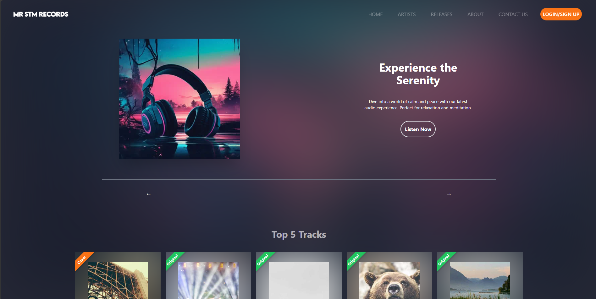 MrStmRecords music label platform